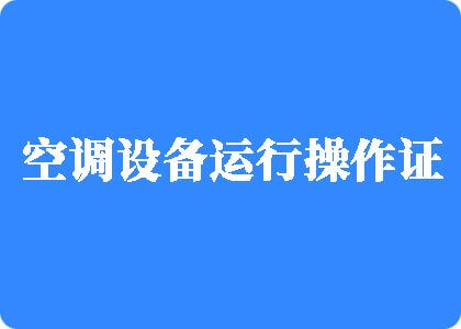 女生的逼被几把操爽免费看制冷工证