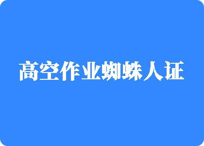 糙逼视频高空作业蜘蛛人证